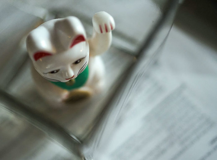 Plastic cat