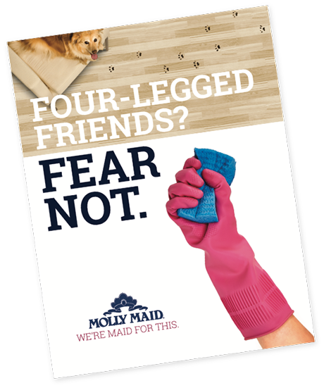 Molly Maid - Four-Legged Friends? Fear Not.