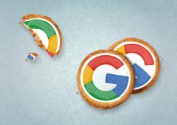 Google Chrome Cookies