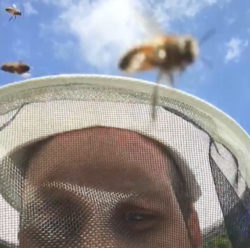 Hatch beekeeping