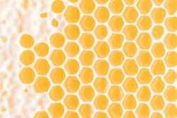Honeycomb