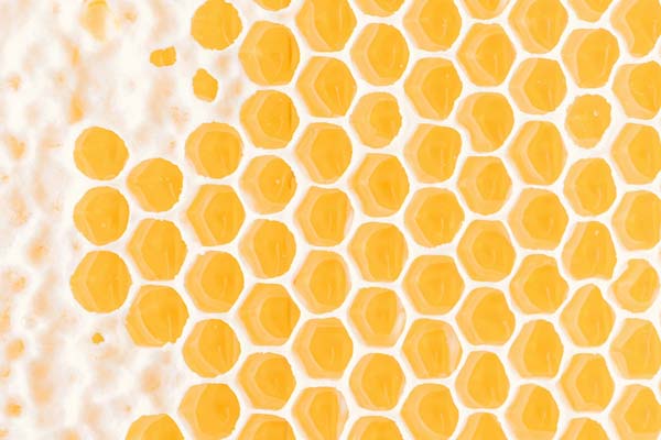 Honeycomb