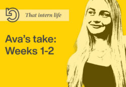 That Intern Life - Ava's Take: Weeks 1-2